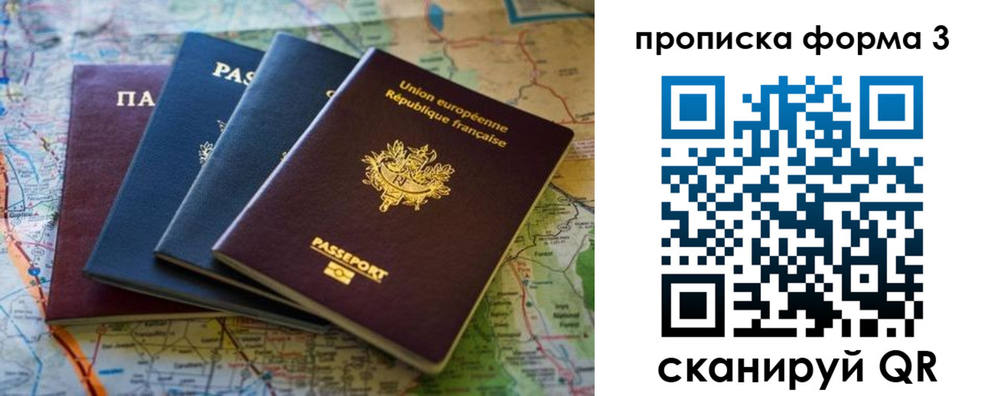 прописка законно в Димитровграде